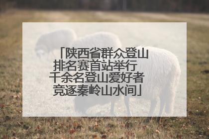 陕西省群众登山排名赛首站举行 千余名登山爱好者竞逐秦岭山水间