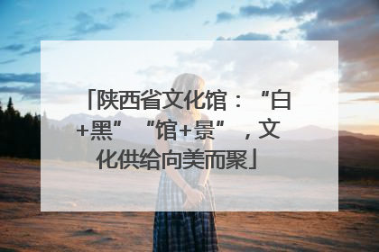 陕西省文化馆：“白+黑”“馆+景”，文化供给向美而聚