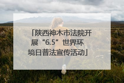 陕西神木市法院开展“6.5”世界环境日普法宣传活动