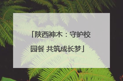 陕西神木：守护校园餐 共筑成长梦