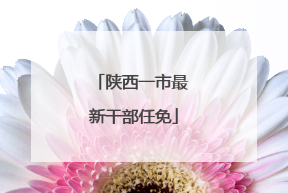 陕西一市最新干部任免