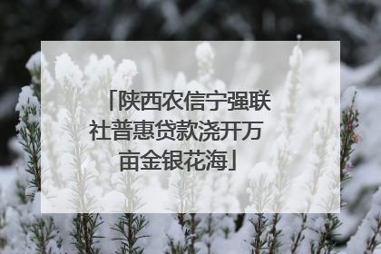 陕西农信宁强联社普惠贷款浇开万亩金银花海