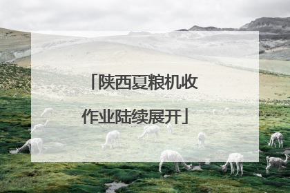 陕西夏粮机收作业陆续展开