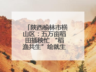 陕西榆林市横山区：五万亩稻田插秧忙 “稻渔共生”绘就生态富民新画卷