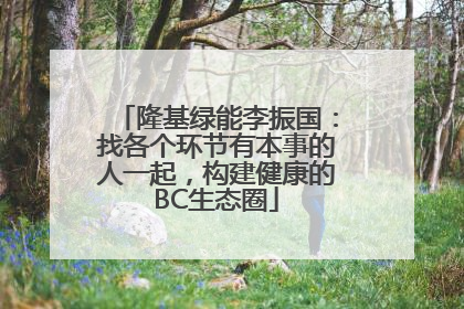 隆基绿能李振国：找各个环节有本事的人一起，构建健康的BC生态圈