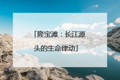 隆宝滩：长江源头的生命律动