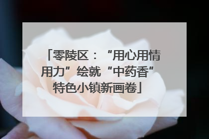 零陵区：“用心用情用力”绘就“中药香”特色小镇新画卷