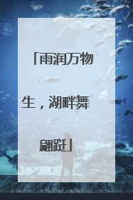 雨润万物生，湖畔舞翩跹