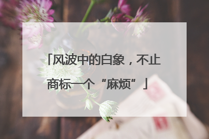 风波中的白象，不止商标一个“麻烦”