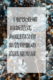 餐饮业破局新范式：海底捞以创新管理驱动高质量发展