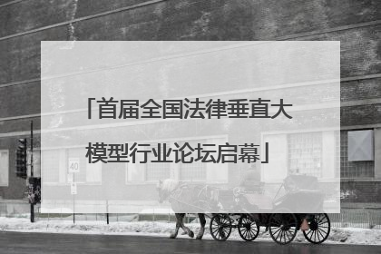 首届全国法律垂直大模型行业论坛启幕