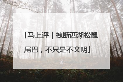 马上评｜拽断西湖松鼠尾巴，不只是不文明