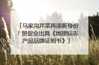 马家沟芹菜再添新身份！贸促会出具《地理标志产品品牌证明书》