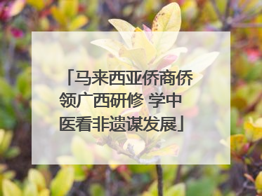 马来西亚侨商侨领广西研修 学中医看非遗谋发展