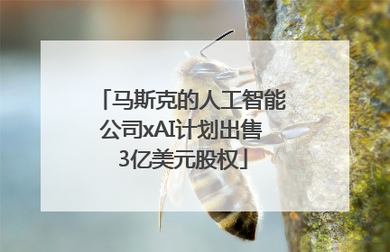 马斯克的人工智能公司xAI计划出售3亿美元股权