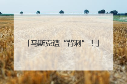 马斯克遭“背刺”！