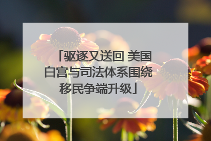 驱逐又送回 美国白宫与司法体系围绕移民争端升级