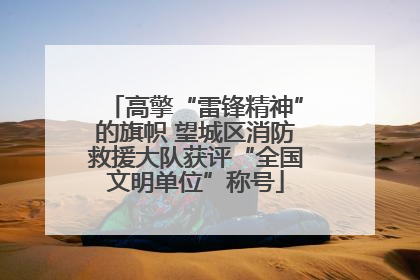 高擎“雷锋精神”的旗帜 望城区消防救援大队获评“全国文明单位”称号