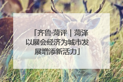 齐鲁·菏评｜菏泽以展会经济为城市发展增添新活力