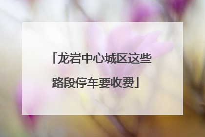 龙岩中心城区这些路段停车要收费