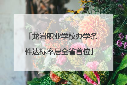 龙岩职业学校办学条件达标率居全省首位