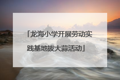 龙海小学开展劳动实践基地拔大蒜活动