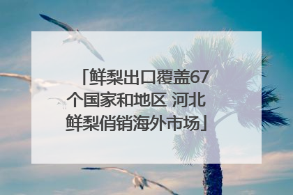 鲜梨出口覆盖67个国家和地区 河北鲜梨俏销海外市场