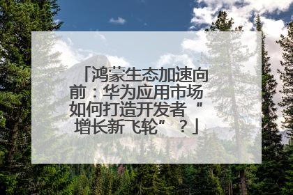 鸿蒙生态加速向前：华为应用市场如何打造开发者“增长新飞轮”？
