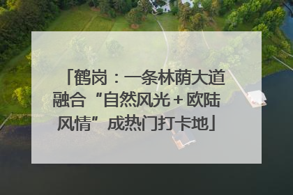 鹤岗：一条林荫大道融合“自然风光＋欧陆风情”成热门打卡地