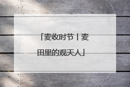 麦收时节丨麦田里的观天人