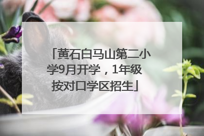 黄石白马山第二小学9月开学，1年级按对口学区招生