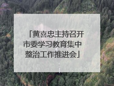 黄喜忠主持召开市委学习教育集中整治工作推进会