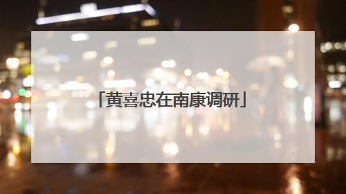 黄喜忠在南康调研