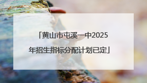 黄山市屯溪一中2025年招生指标分配计划已定