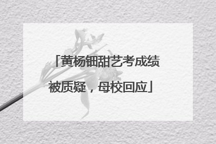 黄杨钿甜艺考成绩被质疑，母校回应