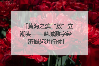 黄海之滨“数”立潮头——盐城数字经济崛起进行时