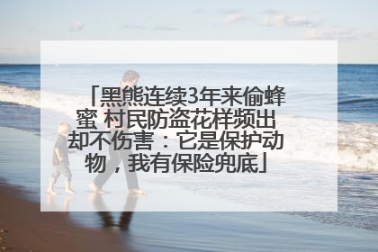 黑熊连续3年来偷蜂蜜 村民防盗花样频出却不伤害：它是保护动物，我有保险兜底