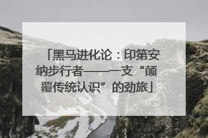 黑马进化论：印第安纳步行者——一支“颠覆传统认识”的劲旅