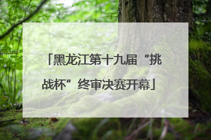 黑龙江第十九届“挑战杯”终审决赛开幕