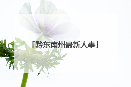 黔东南州最新人事