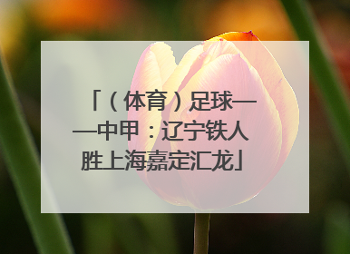 （体育）足球——中甲：辽宁铁人胜上海嘉定汇龙