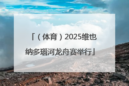 （体育）2025维也纳多瑙河龙舟赛举行