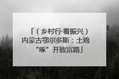 （乡村行·看振兴）内蒙古鄂尔多斯：土鸡“啄”开致富路