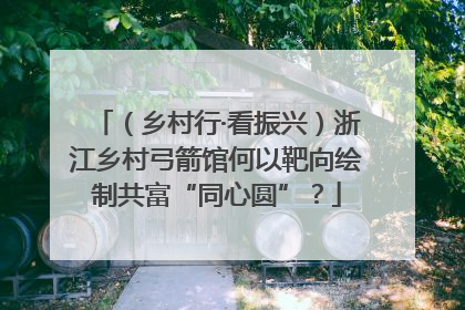 （乡村行·看振兴）浙江乡村弓箭馆何以靶向绘制共富“同心圆”？