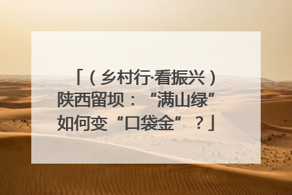 （乡村行·看振兴）陕西留坝：“满山绿”如何变“口袋金”？
