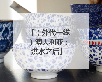 （外代一线）澳大利亚：洪水之后