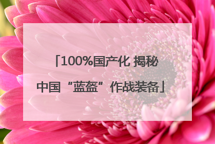 100%国产化 揭秘中国“蓝盔”作战装备