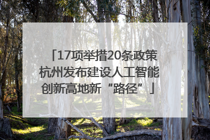 17项举措20条政策 杭州发布建设人工智能创新高地新“路径”