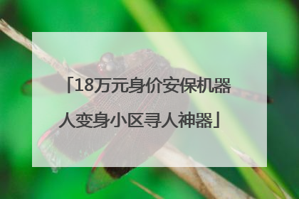 18万元身价安保机器人变身小区寻人神器