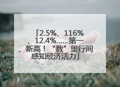 2.5%、116%、12.4%……第一、新高！“数”里行间感知经济活力